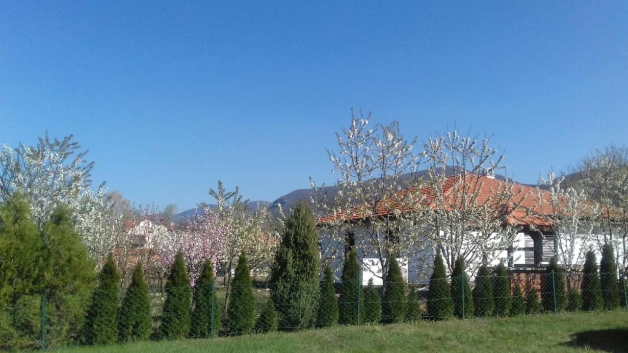 House Milovanovic Sokobanja Extérieur photo