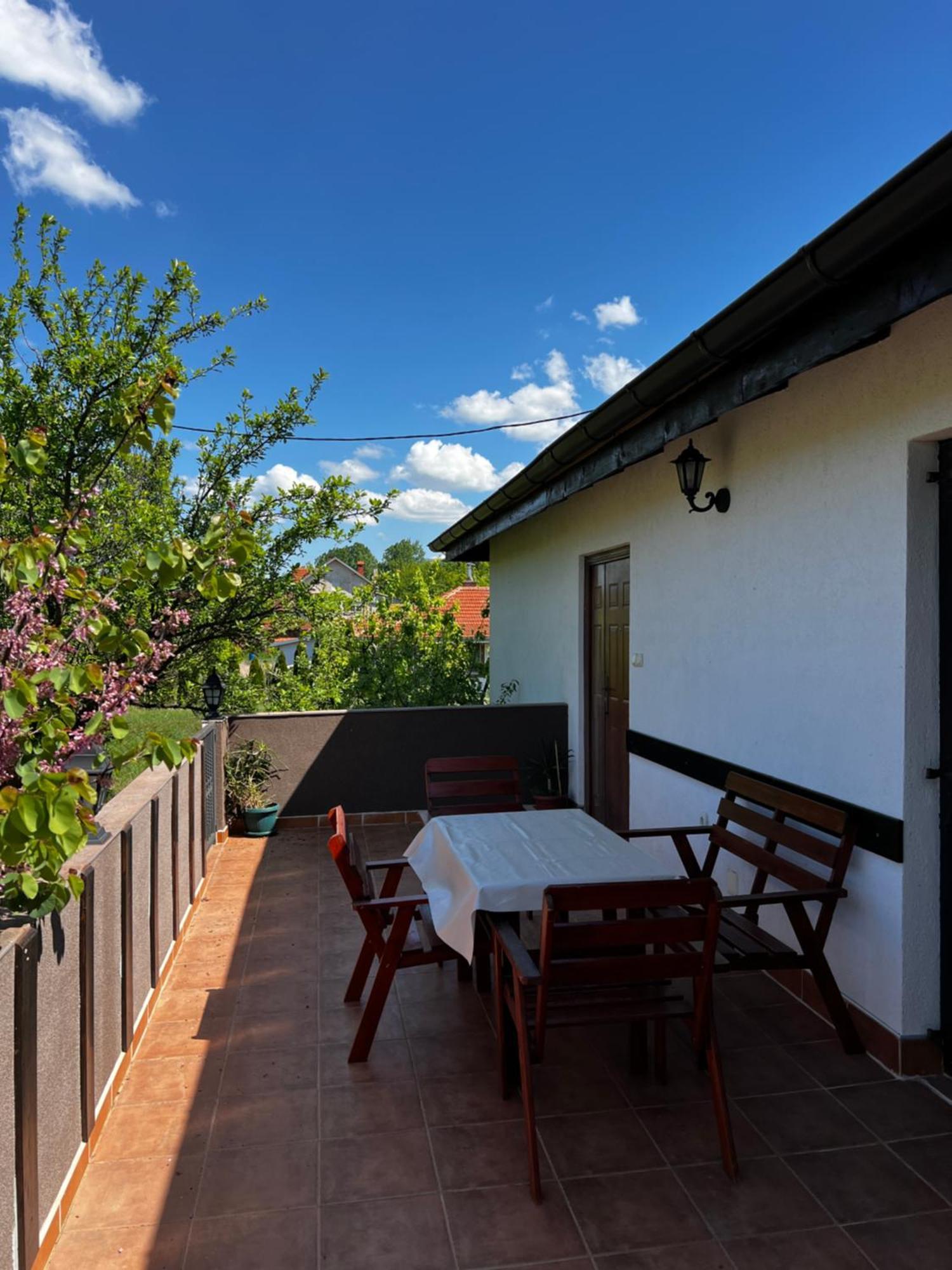 House Milovanovic Sokobanja Extérieur photo